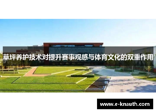 草坪养护技术对提升赛事观感与体育文化的双重作用