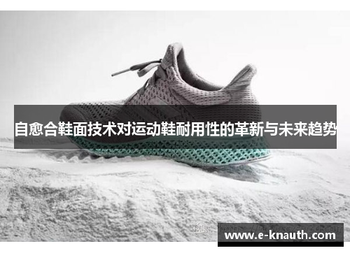 自愈合鞋面技术对运动鞋耐用性的革新与未来趋势
