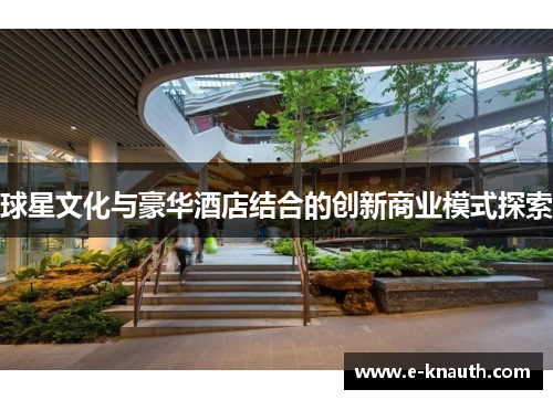 球星文化与豪华酒店结合的创新商业模式探索